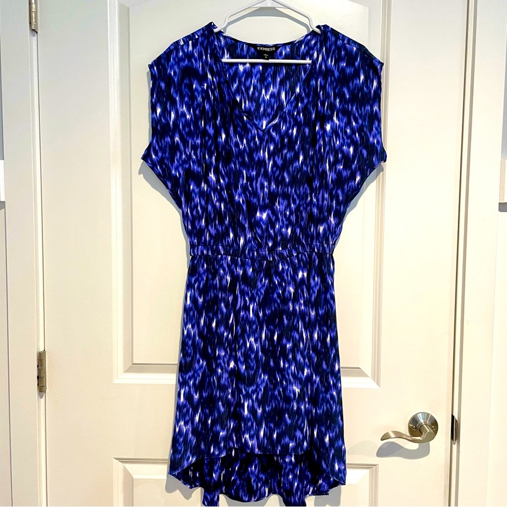 Express Clinch Waist Dress - Medium